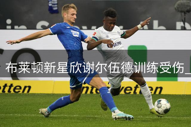 布莱顿新星欣谢尔伍德训练受伤 归期未定主帅担忧